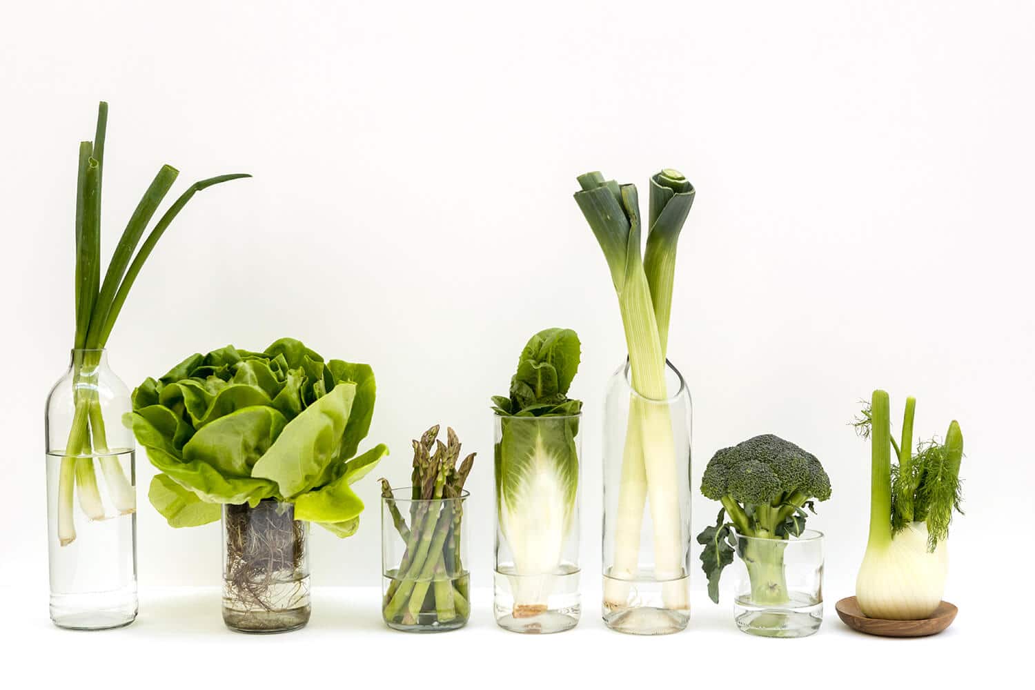 Originalhome - Wholesale Drinking Glass/Cup - Glass Clear - S Set Of 21