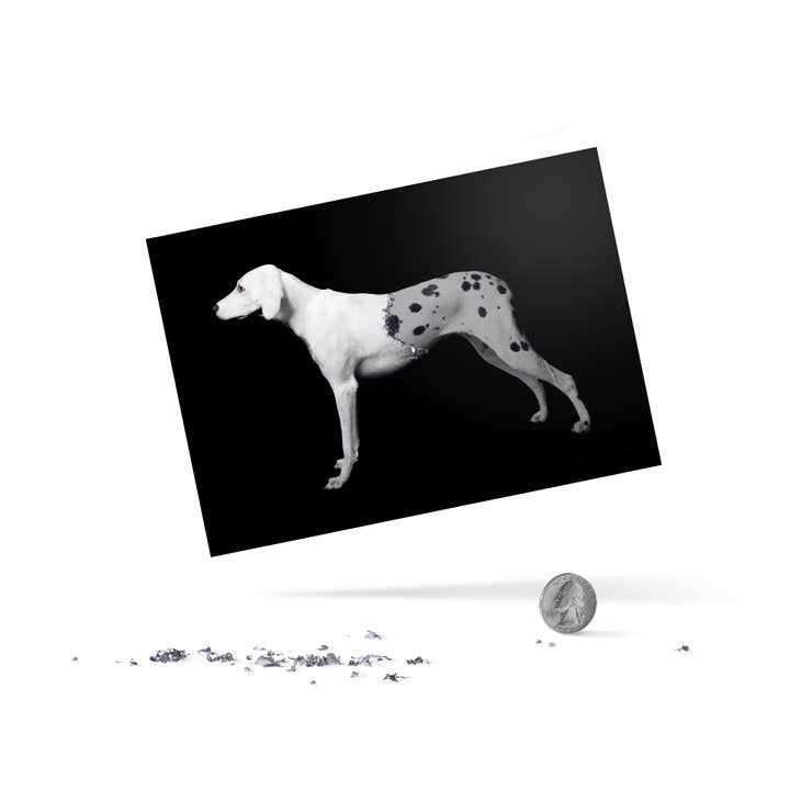 surprise greeting card with envelope for wholesale by March