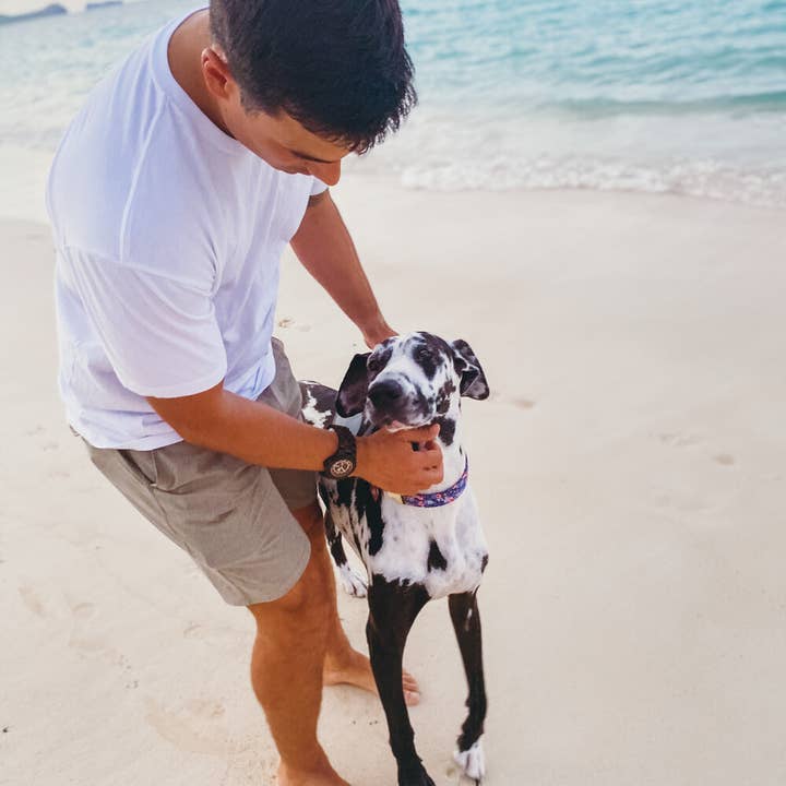 Bean & Vanilla - Wholesale Wrist watch – Men's - Meridian - Black Sandalwood7