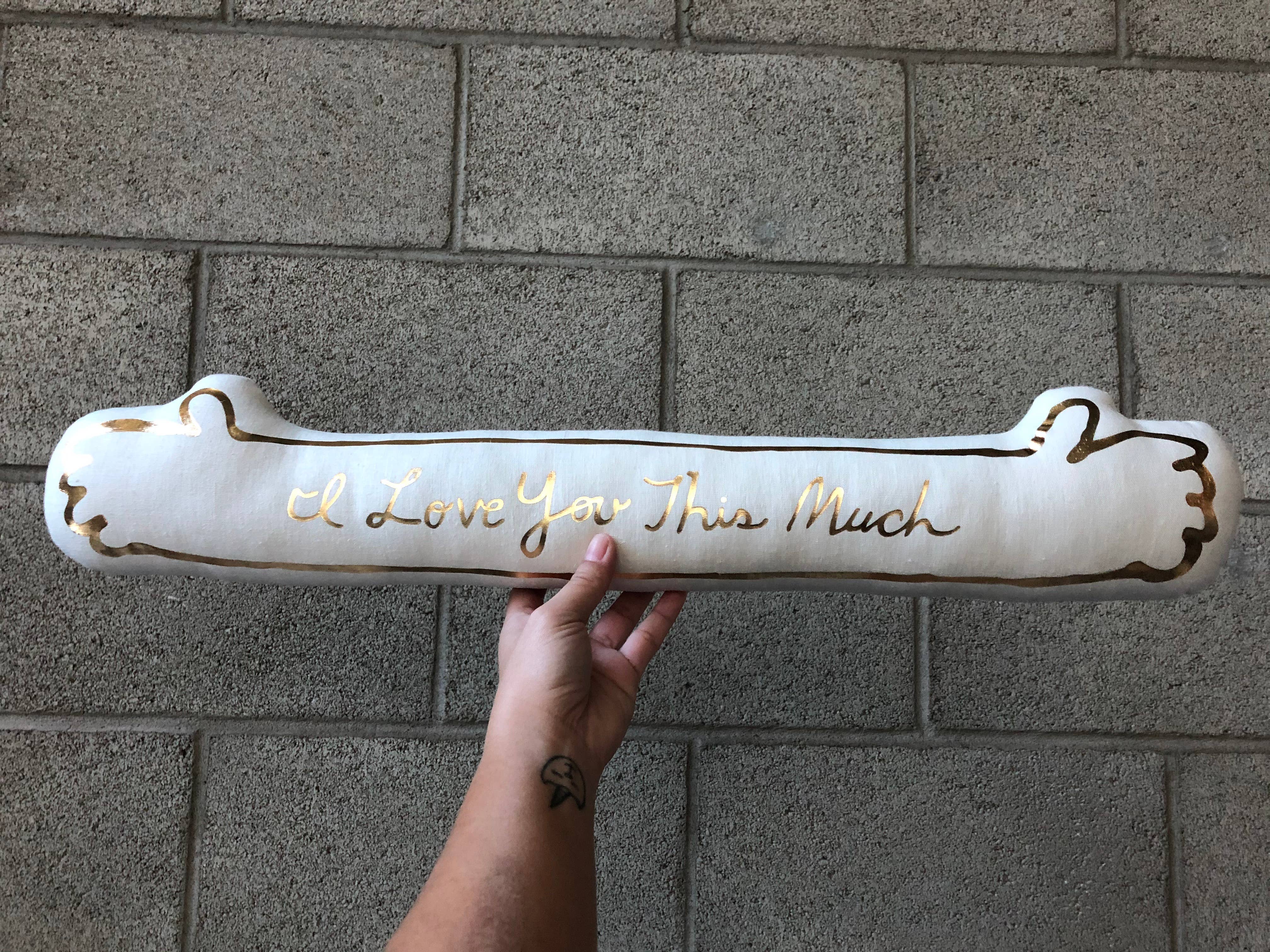 My Name Is Not Darren - Vente Coussin décoratif - Coussin « I Love You This Much »2