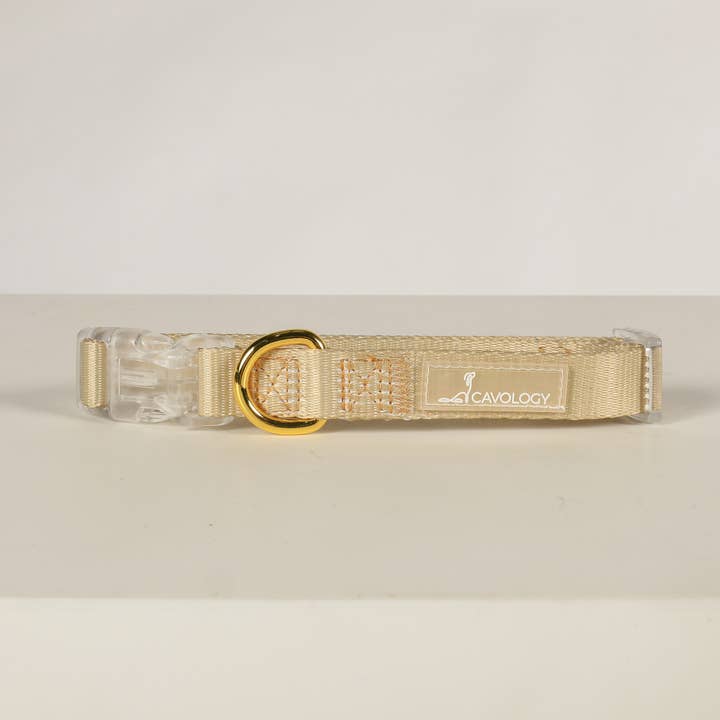 Cavology - Wholesale Pet Collar - Dog - DOG COLLAR EVERYDAY LIGHTWEIGHT VINYL MINIMAL5