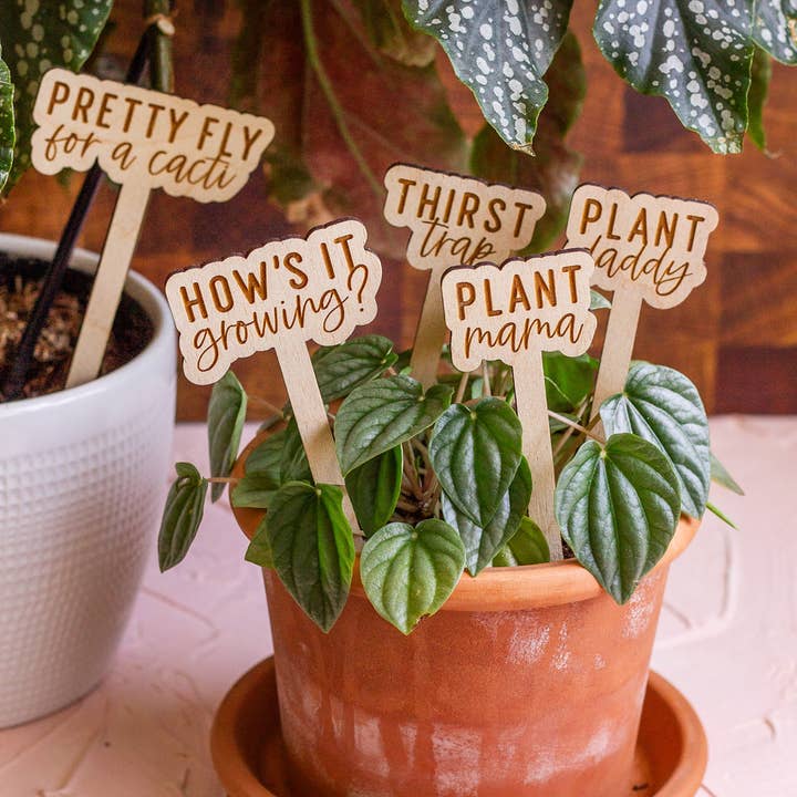 The Print Pantry - Wholesale Garden/Lawn Stake - Funny Script Wooden Plant Markers