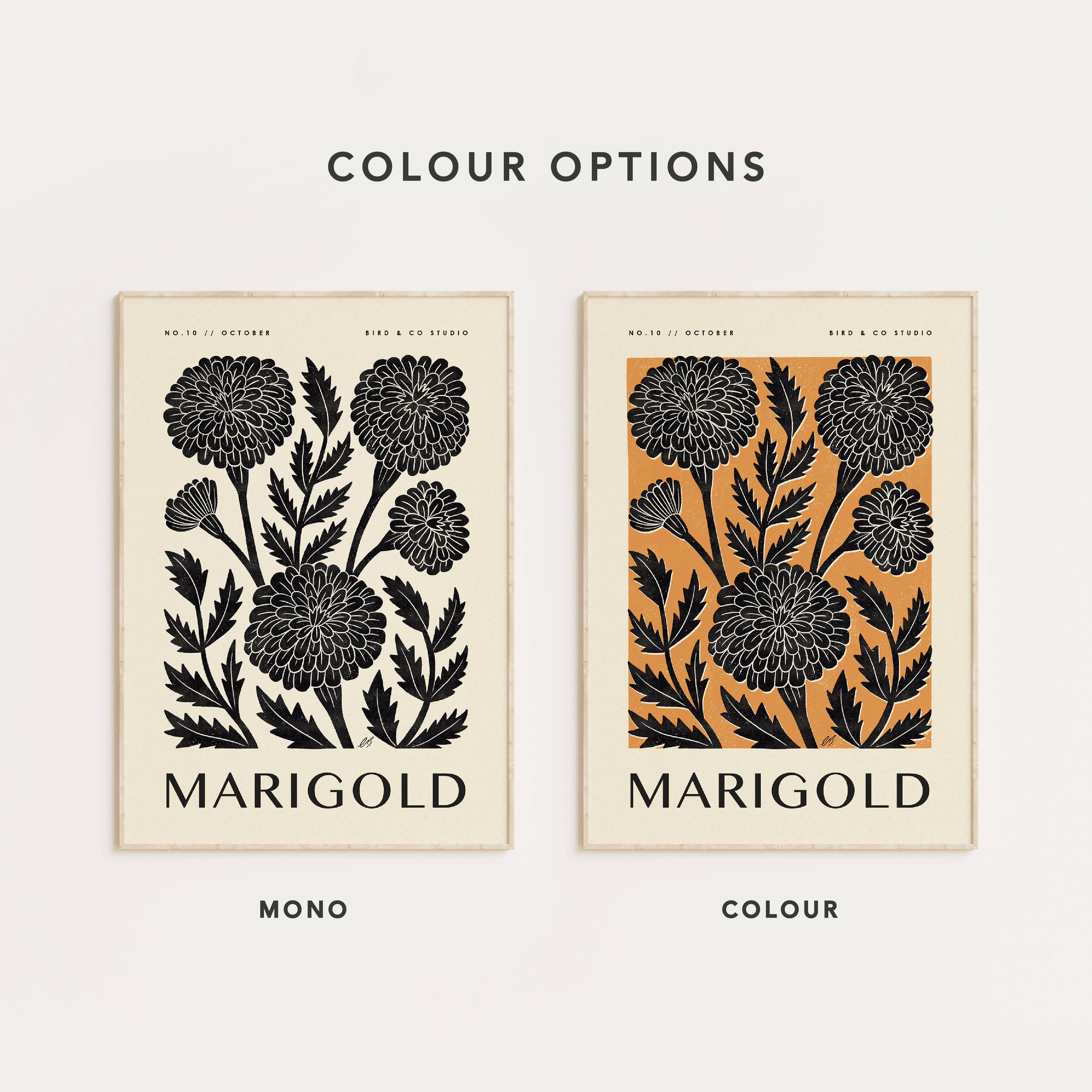 Bird & Co Studio - Wholesale Art Print - October Marigold | Botanical Birth Flower Art Print2