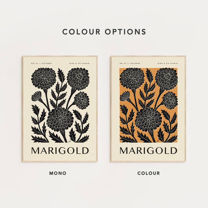 Bird & Co Studio - Wholesale Art Print - October Marigold | Botanical Birth Flower Art Print2
