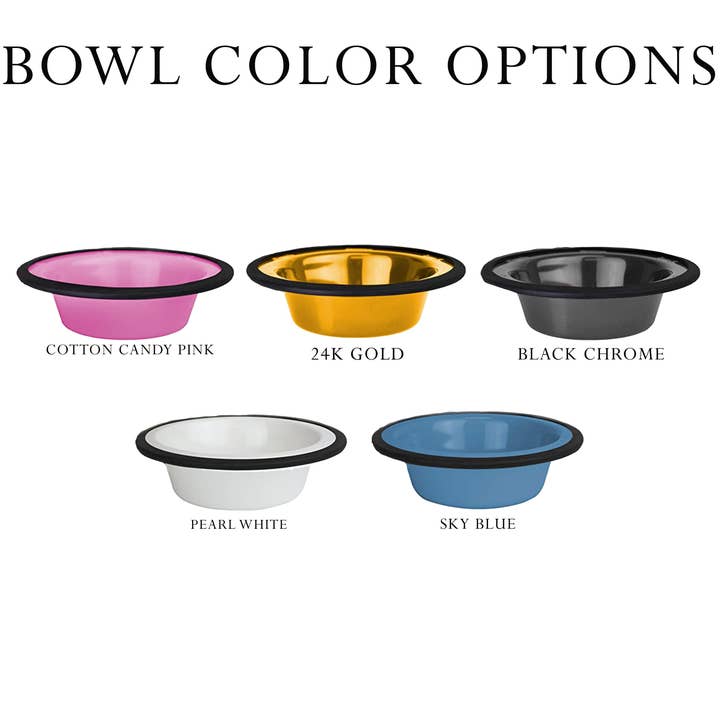 M.N. Designs, Inc. - Vente Gamelle – chat et chien - Support de gamelle pour chien en acrylique transparent personnalisé - Grand1