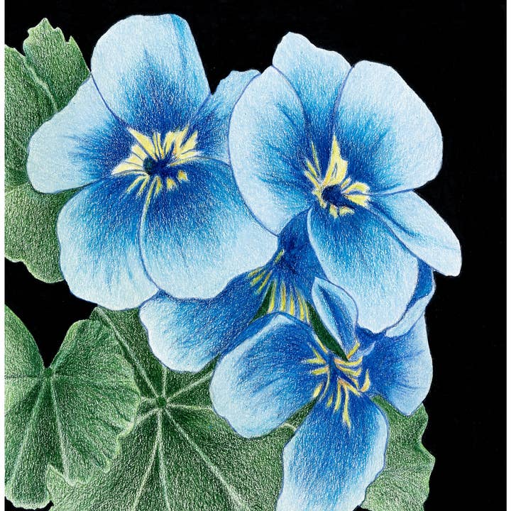 Forget Me Nots Floral Art Print for wholesale by Greene Sun Art