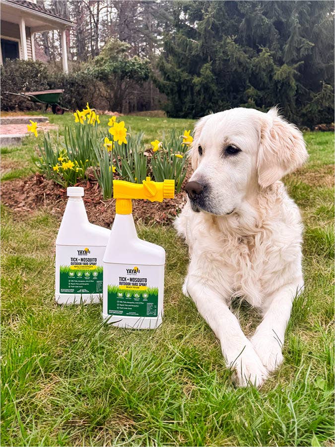 YAYA Organics - Vente Insectifuges - Spray pour jardin extérieur YAYA Tick + Mosquito, prêt à l'emploi6