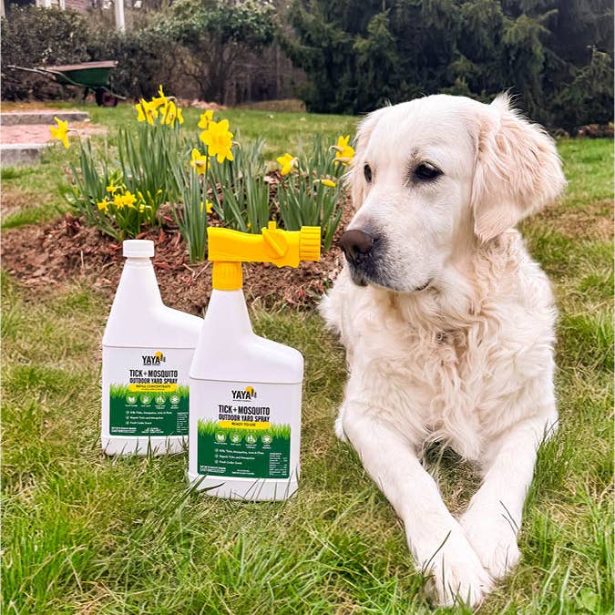 YAYA Organics - Vente Insectifuges - Spray pour jardin extérieur YAYA Tick + Mosquito, prêt à l'emploi6