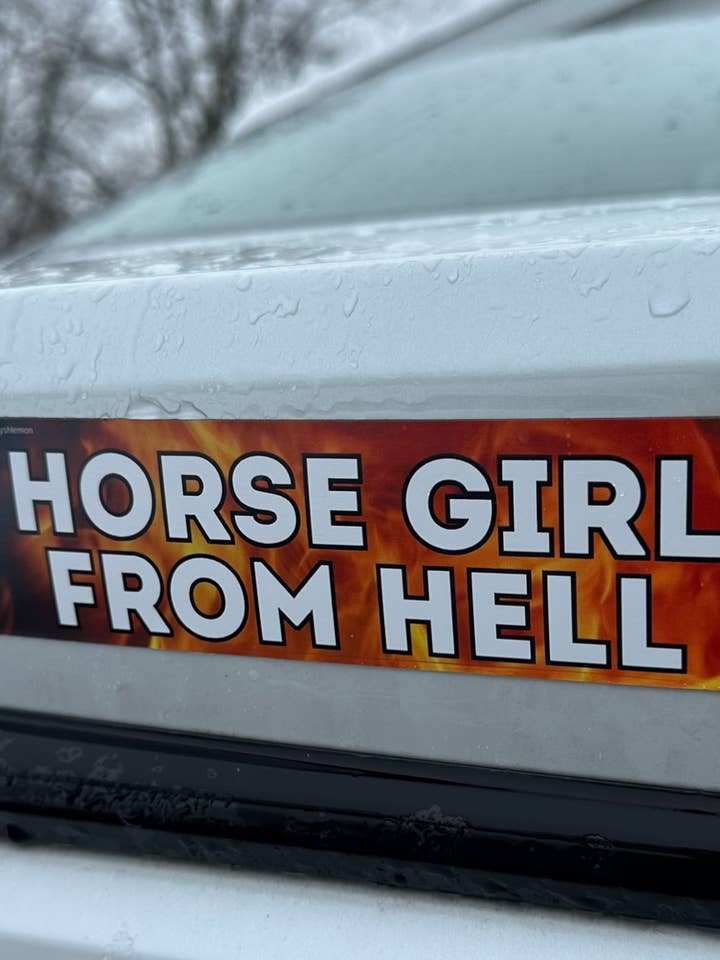 Horse Girl From Hell Car Magnet for wholesale by ShlemonArt