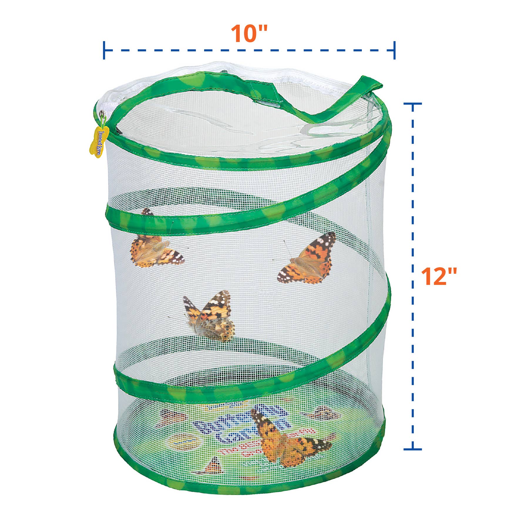 INSECT LORE - Wholesale Classic Toy - Kids - Original Butterfly Garden® Growing Kit with Voucher 11