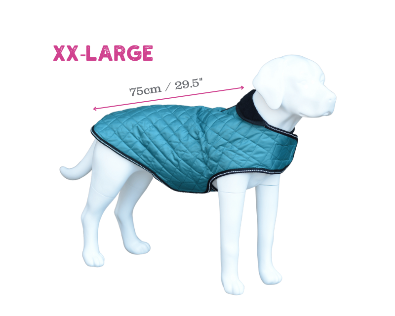 Henry Wag - Wholesale Pet Jacket - Dog - Henry Wag Quilted Dog Jacket5