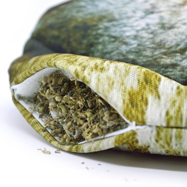 Doggijuana - Wholesale Pet Toy - Dog - Get Outside Squirrel Refillable Dog Toy4