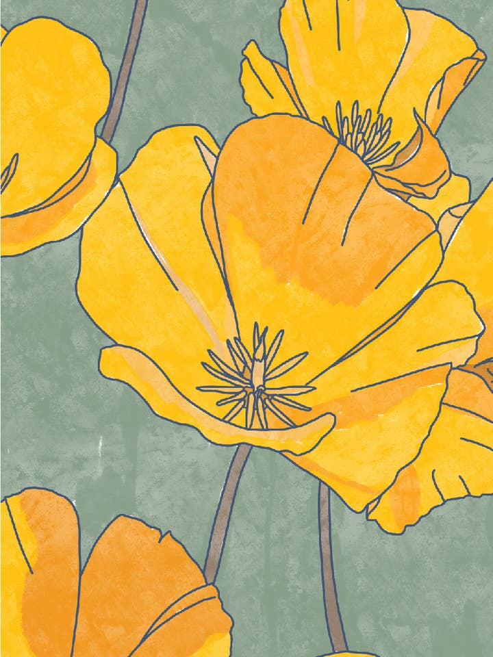 California Poppy Art Print | California Park Series for wholesale by Habitat Art Studio