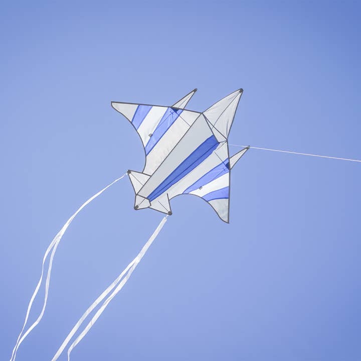 In the Breeze, LLC. - Vente Cerf-volant - Fighter Jet Kite1