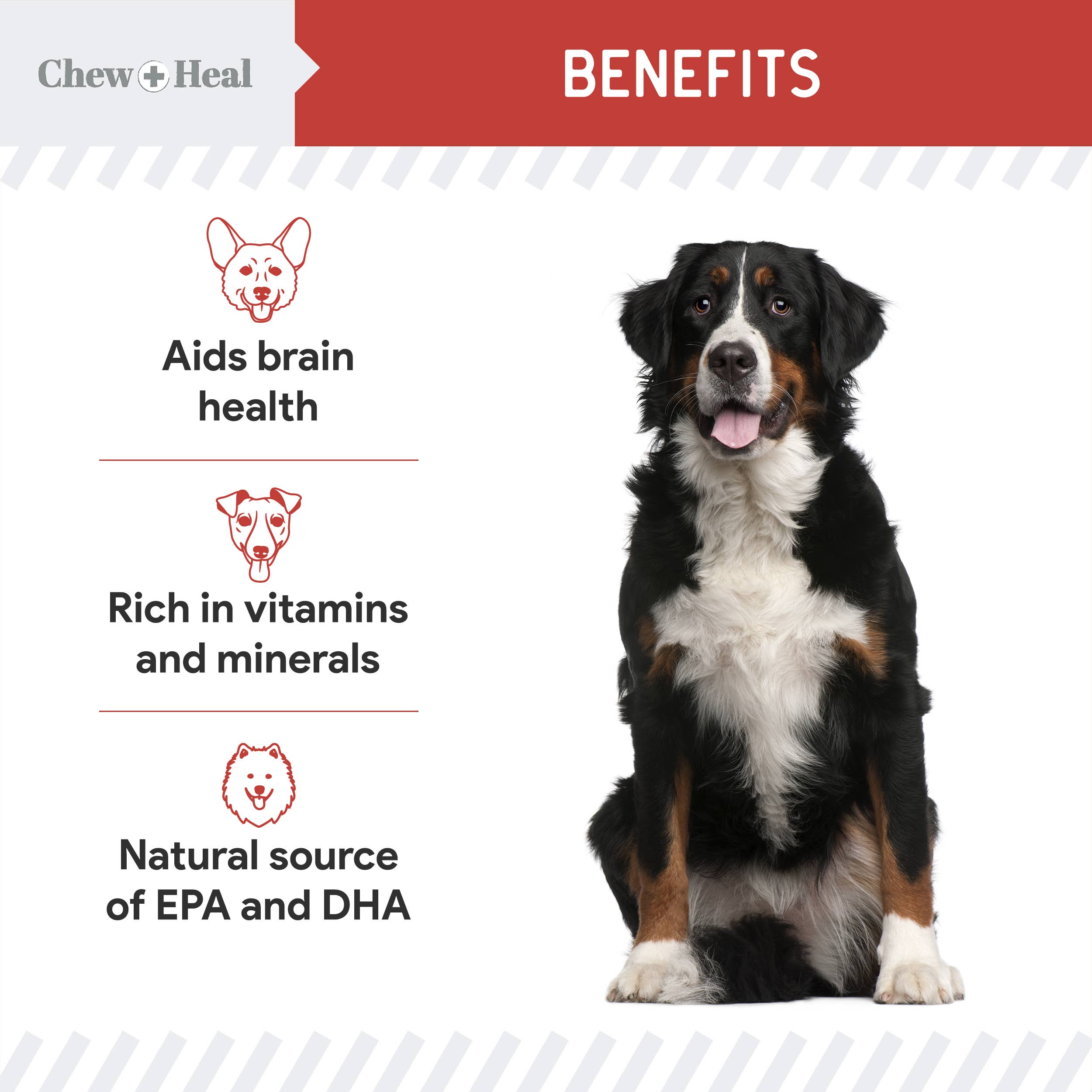 Chew + Heal - Vente Friandises – chien - Friandises pour chiens à ingrédients limités au saumon sauvage d'Alaska Focus8