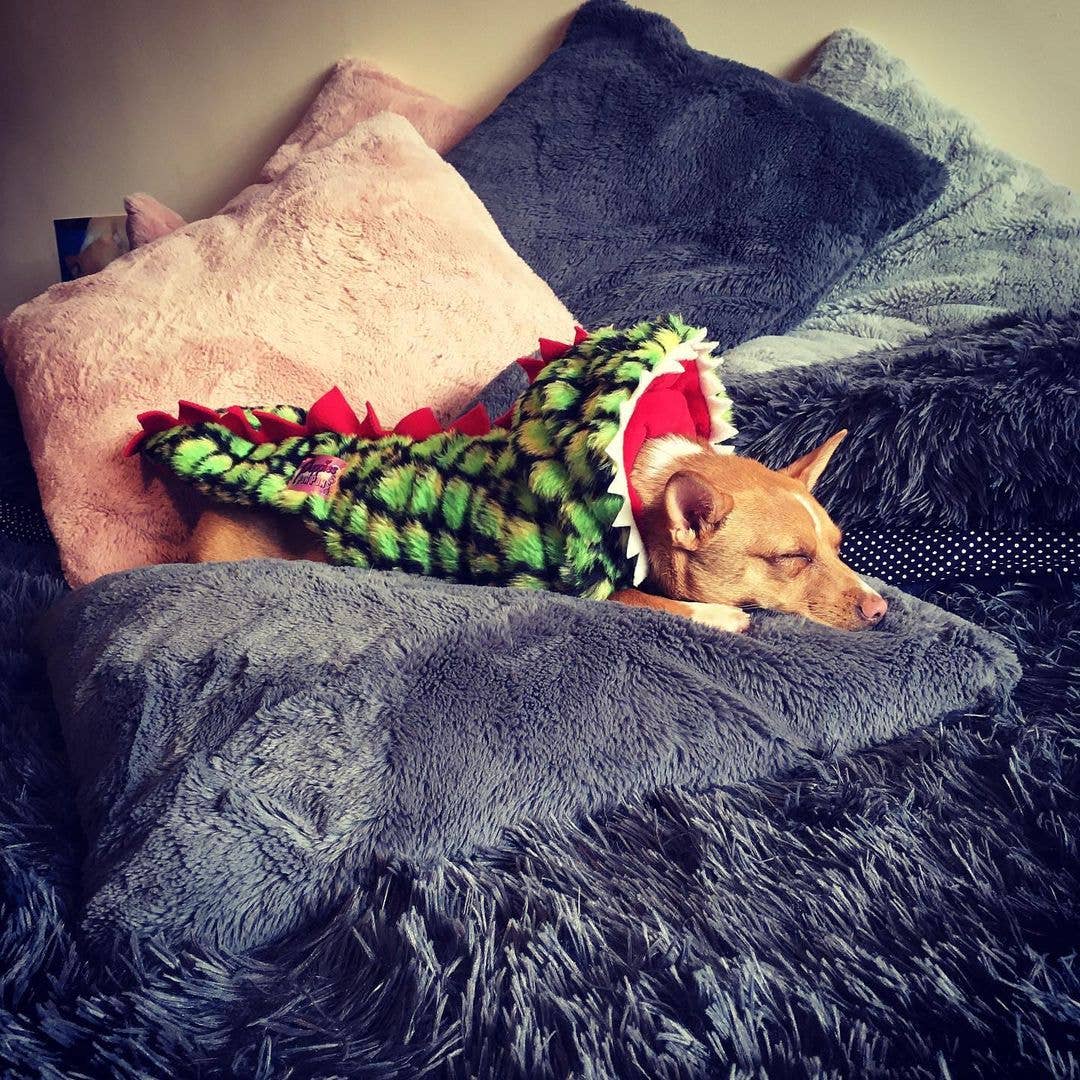 Puppies & Pom Poms - Wholesale Pet Coat - Dog - Handmade Dachshund Dinosaur Fluffy Coat