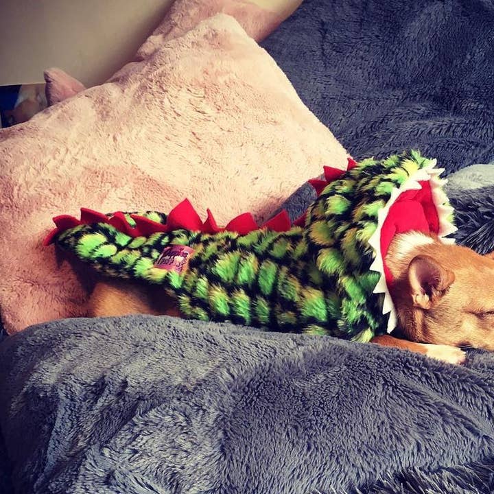 Puppies & Pom Poms - Wholesale Pet Coat - Dog - Handmade Dachshund Dinosaur Fluffy Coat0