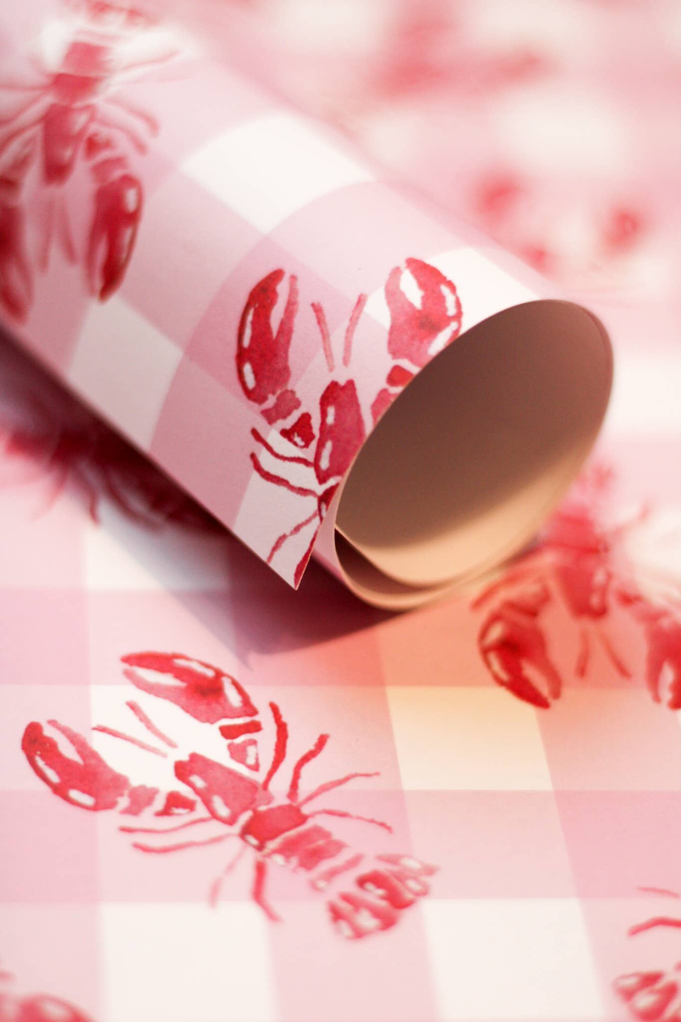 Scribbles and Doodlez - Wholesale Flat Wrap - Pink Gingham + Red Lobster | Watercolor Wrapping Paper Sheet2