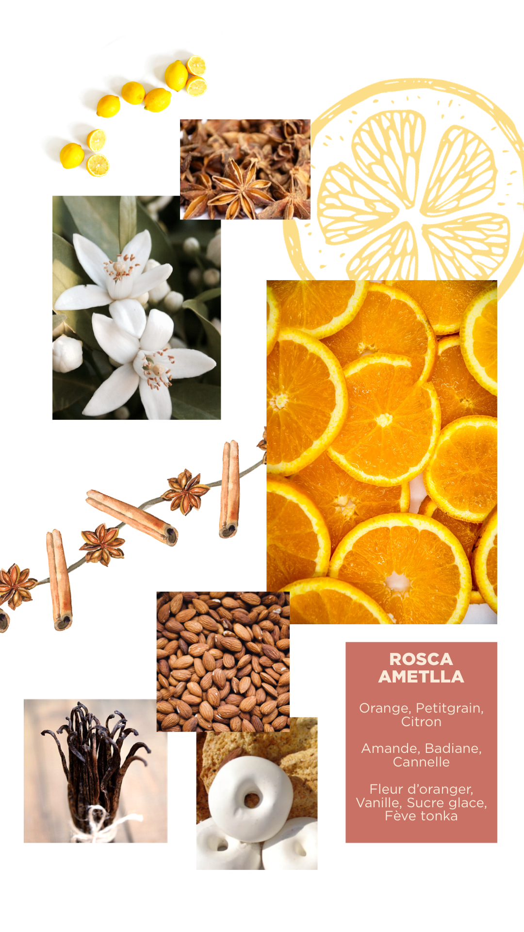 Nolença - Wholesale Perfume/Eau de Toilette - Rosca Ametlla2