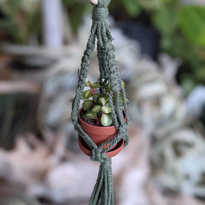 Leaf and Cord - Wholesale Hanging Planter - Mini Macrame Plant Hanger8