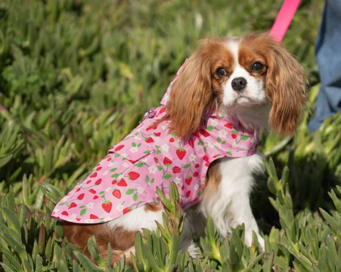 Canada Pooch - Wholesale Pet Poncho - Dog - Pick Me Poncho (New Prints)- Dog raincoat14