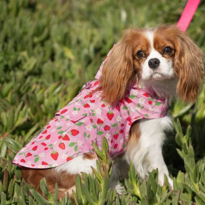 Canada Pooch - Wholesale Pet Poncho - Dog - Pick Me Poncho (New Prints)- Dog raincoat14