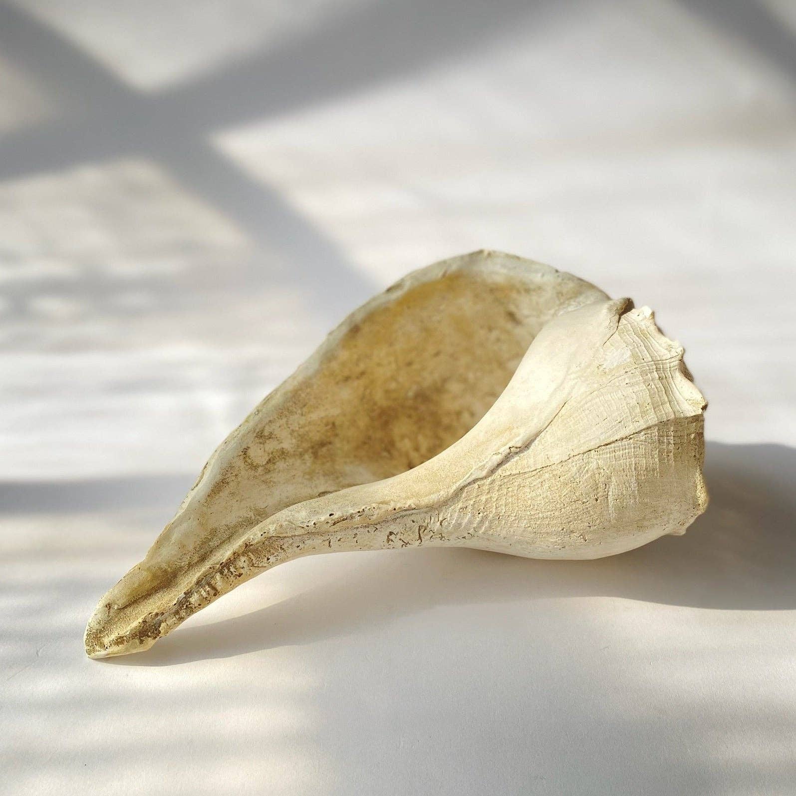 House Parts, Inc. - Wholesale Decorative Tabletop Object - Large Whelk1