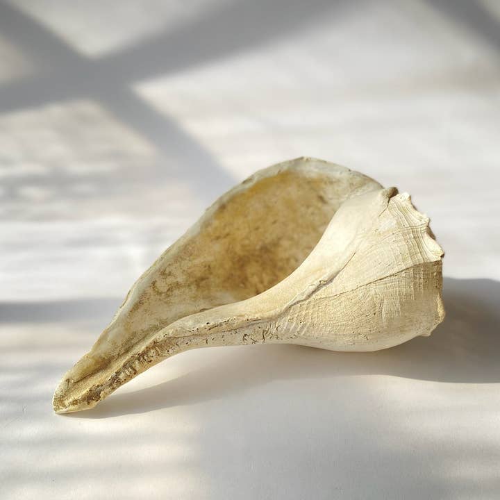 House Parts, Inc. - Wholesale Decorative Tabletop Object - Large Whelk1