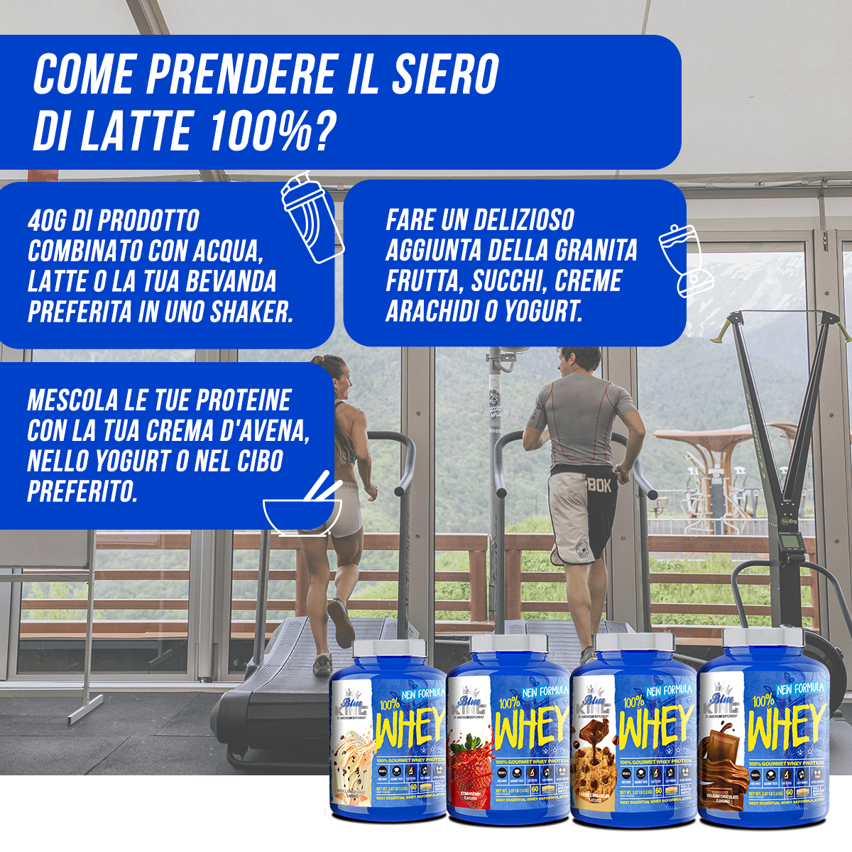 AMERICAN SUPLEMENT S.L. - Wholesale Protein/Superfood Powder - American Supplement | 100% Whey Protein BlueKing 2kg12