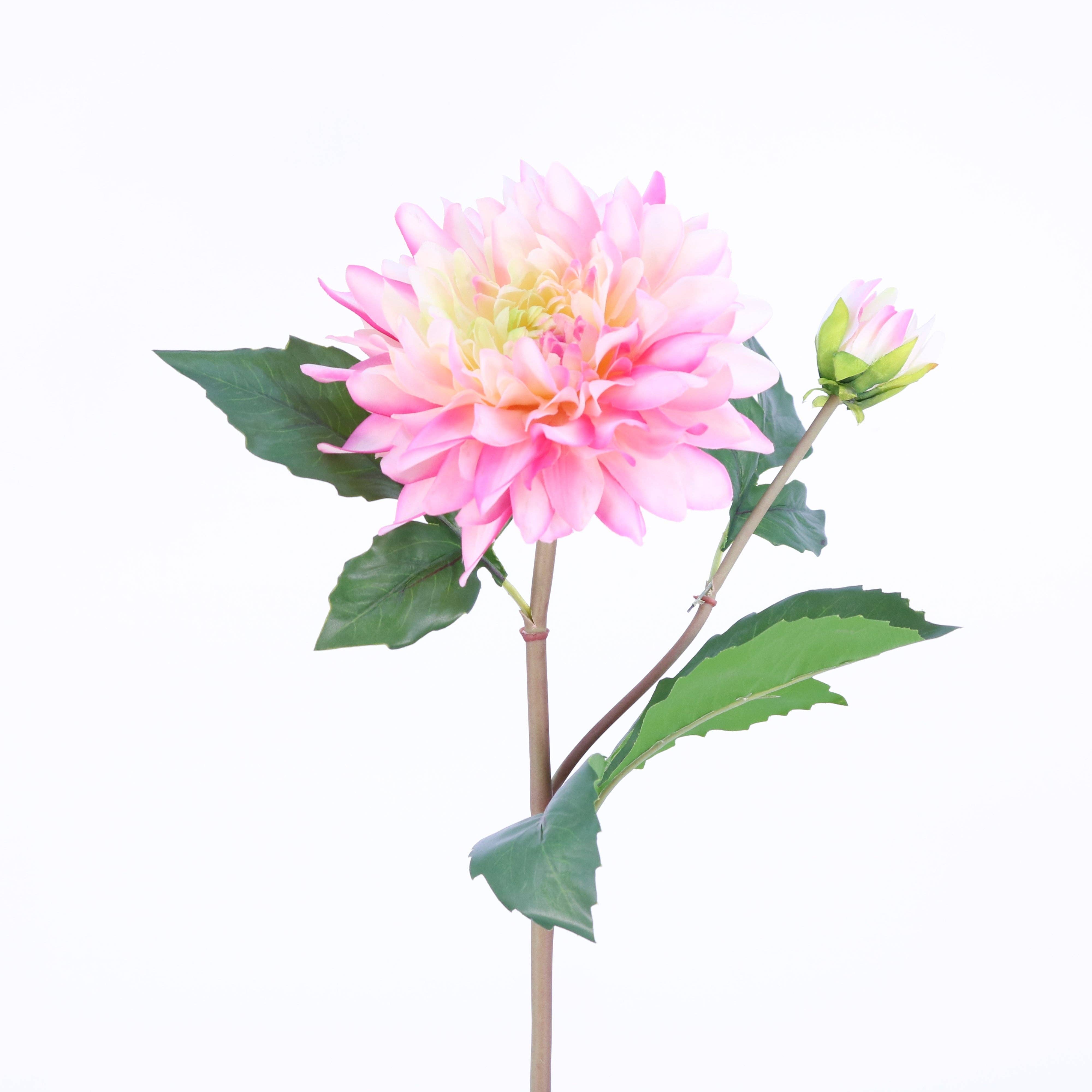 Green Import Limited - Vente Fleurs artificielles - Pulvérisateur FL10810 DAHLIA X1F1B, 22 pouces, 12 pouces, 96/7,58 pieds2