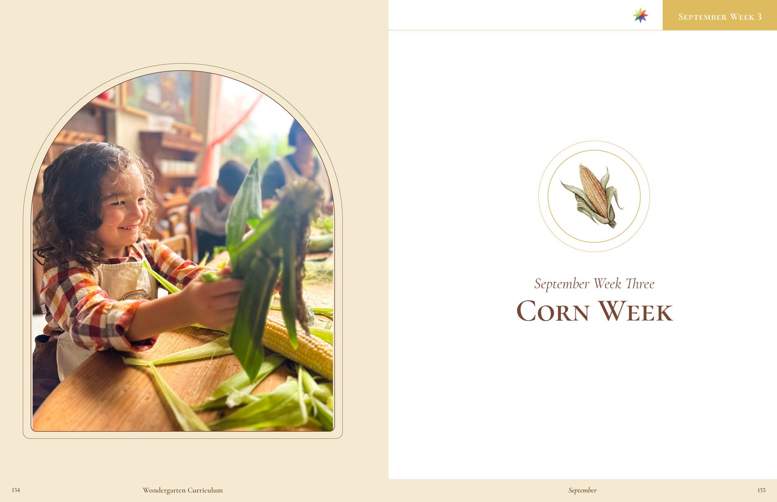 Wondergarten® - Wholesale Education - Curriculum Collection (Wholesale)4