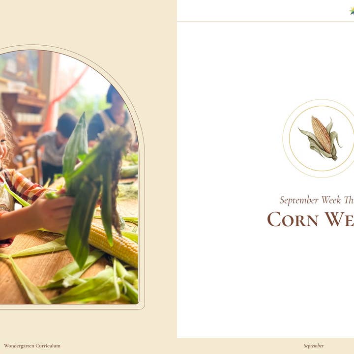 Wondergarten® - Wholesale Education - Curriculum Collection (Wholesale)4