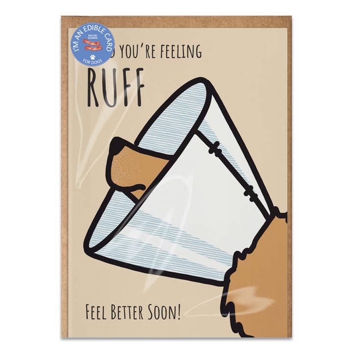 Poochie-Pets - Wholesale Everyday Greeting Card - Poochie Post, The 100% Edible Greeting Card Line for Dogs12