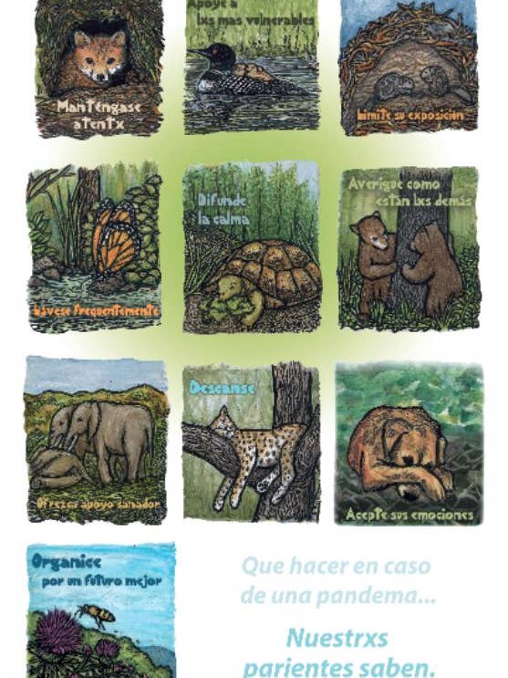 Que Hacer en Caso de Pandema - Animales (Poster) for wholesale by Ricardo Levins Morales Art Studio