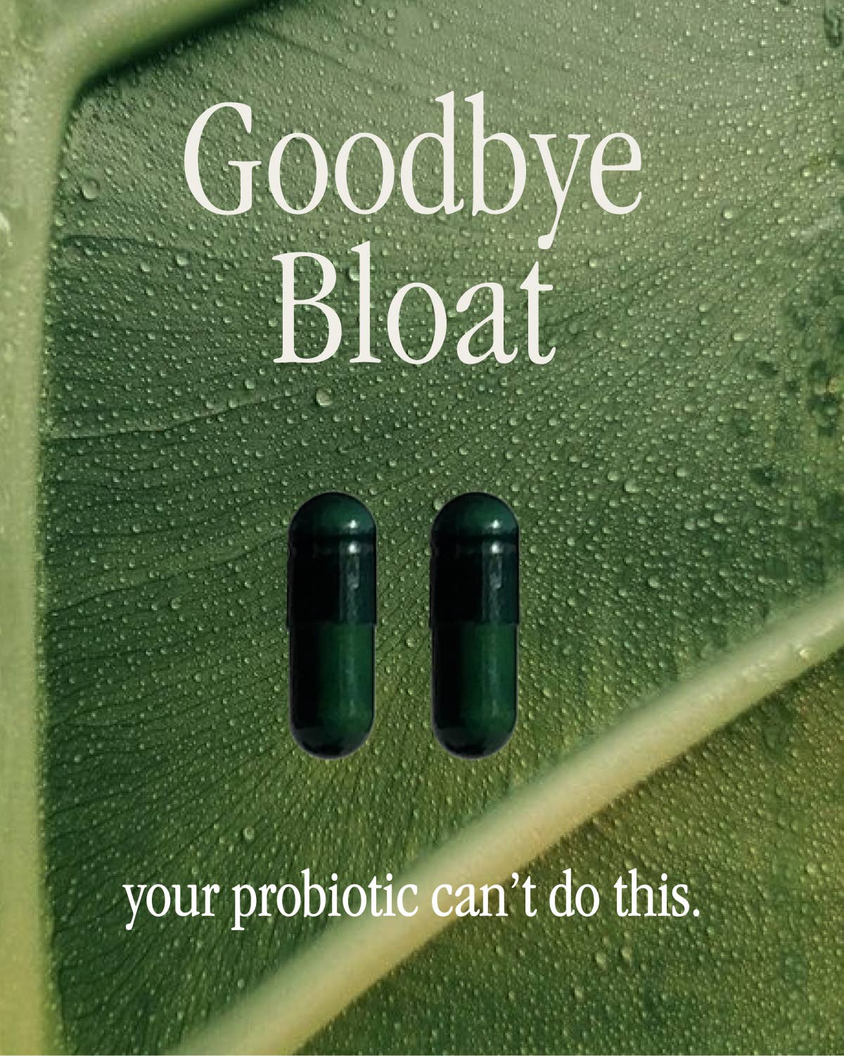 Juna - Wholesale Oral Supplement/Vitamin - Detox Digestive Enzymes10