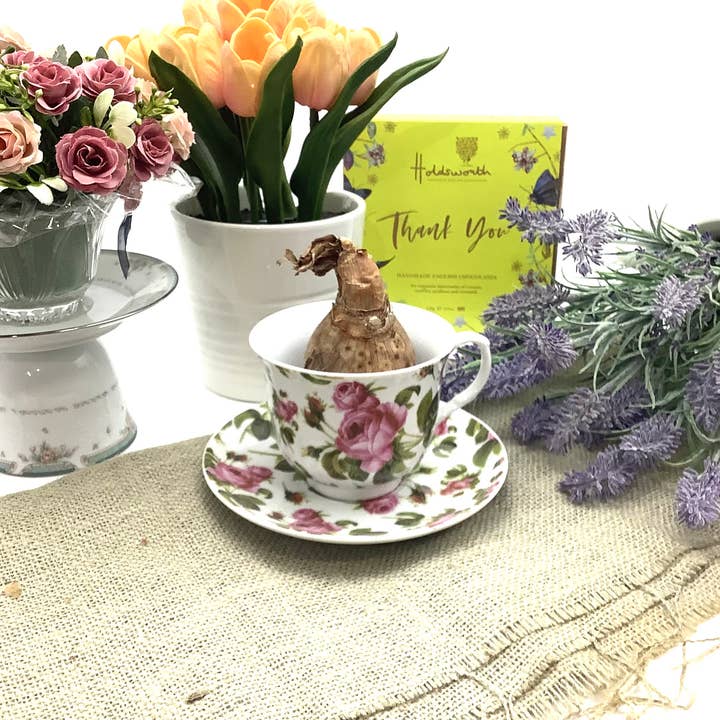 All Little Cute Things - Wholesale Party Favor - Dutch Daffodil Bulb in a Teacup, Garden Tea Party Favors7