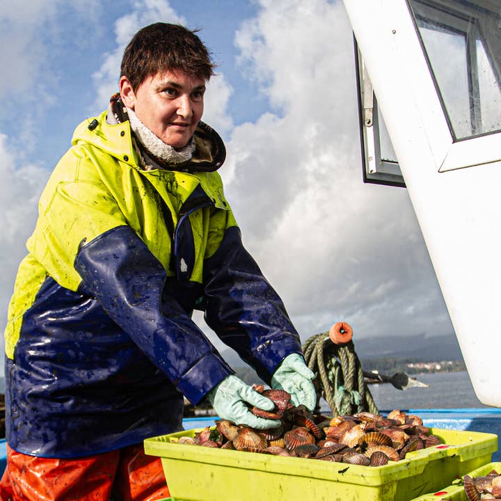 BOU DE VARA - Wholesale Fish/Seafood - SMALL SCALLOPS FROM RIANXO (IN A TRADITIONAL SEAFOOD SAUCE)3