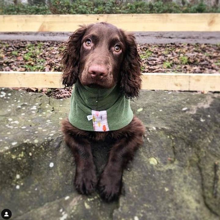 Eco-Pup – wholesale Hundjacka - Hund – Arbutus Fleecey fleecejacka4