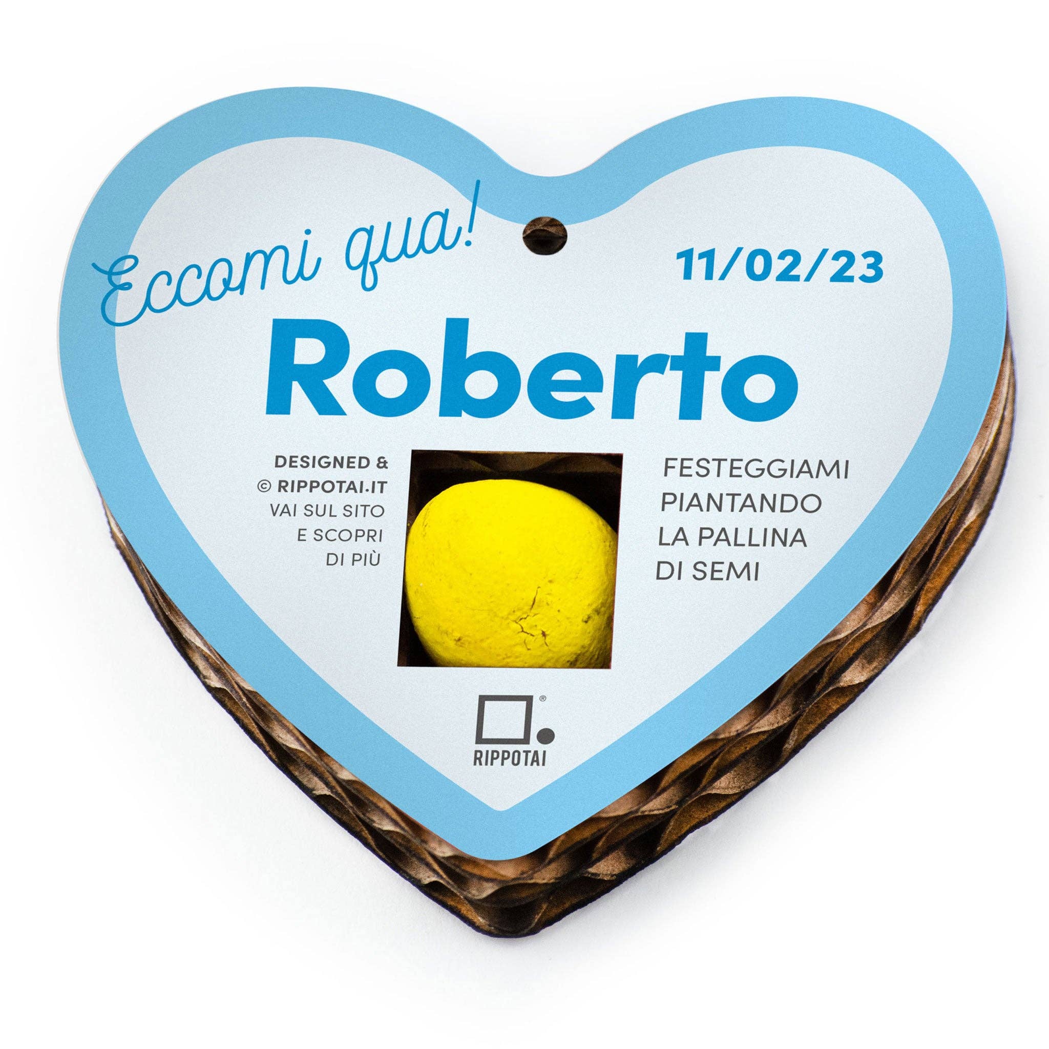 Rippotai - Wholesale Party Favor - Original Baptism Favors with Flower Seeds - Boy1