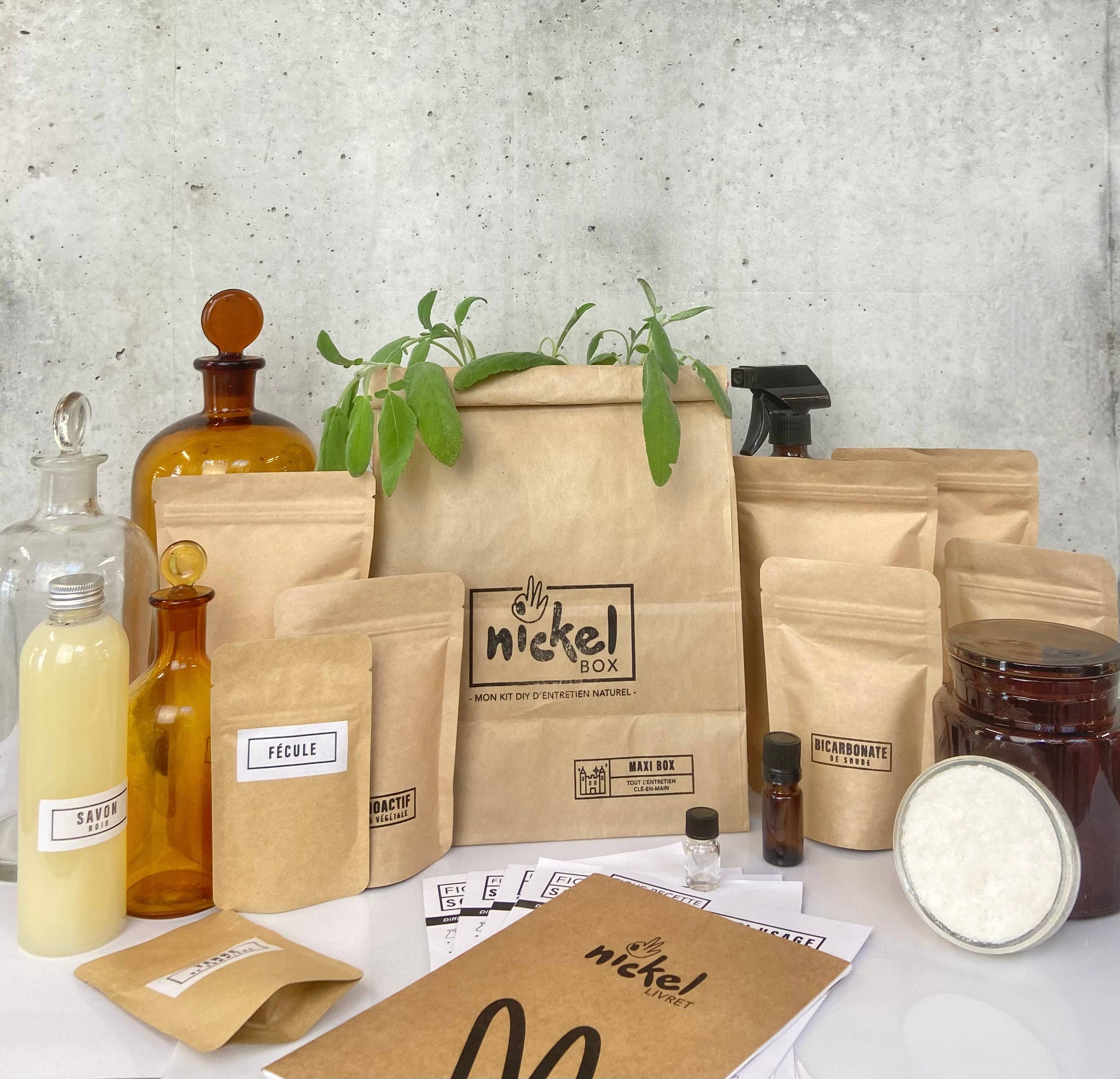 Naturel Factory - Wholesale DIY Craft Kit - THE FULL BOX: LAUNDRY — DISHES — MULTI-PURPOSE1