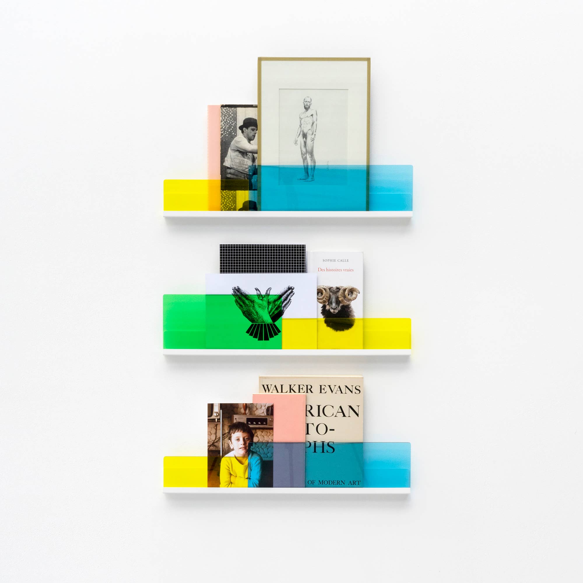 REMOVED BRAND - Vendita all'ingrosso Mensole da parete - CONFEZIONE DA 2 Shelf-Cimaises BLETTE blu e verde9