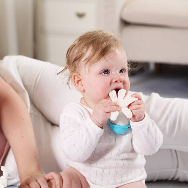 Vastmedic - Wholesale Teether (Not Clip-On) - Baby - Mombella 100% Food-Grade Silicone Teether - Octopus12