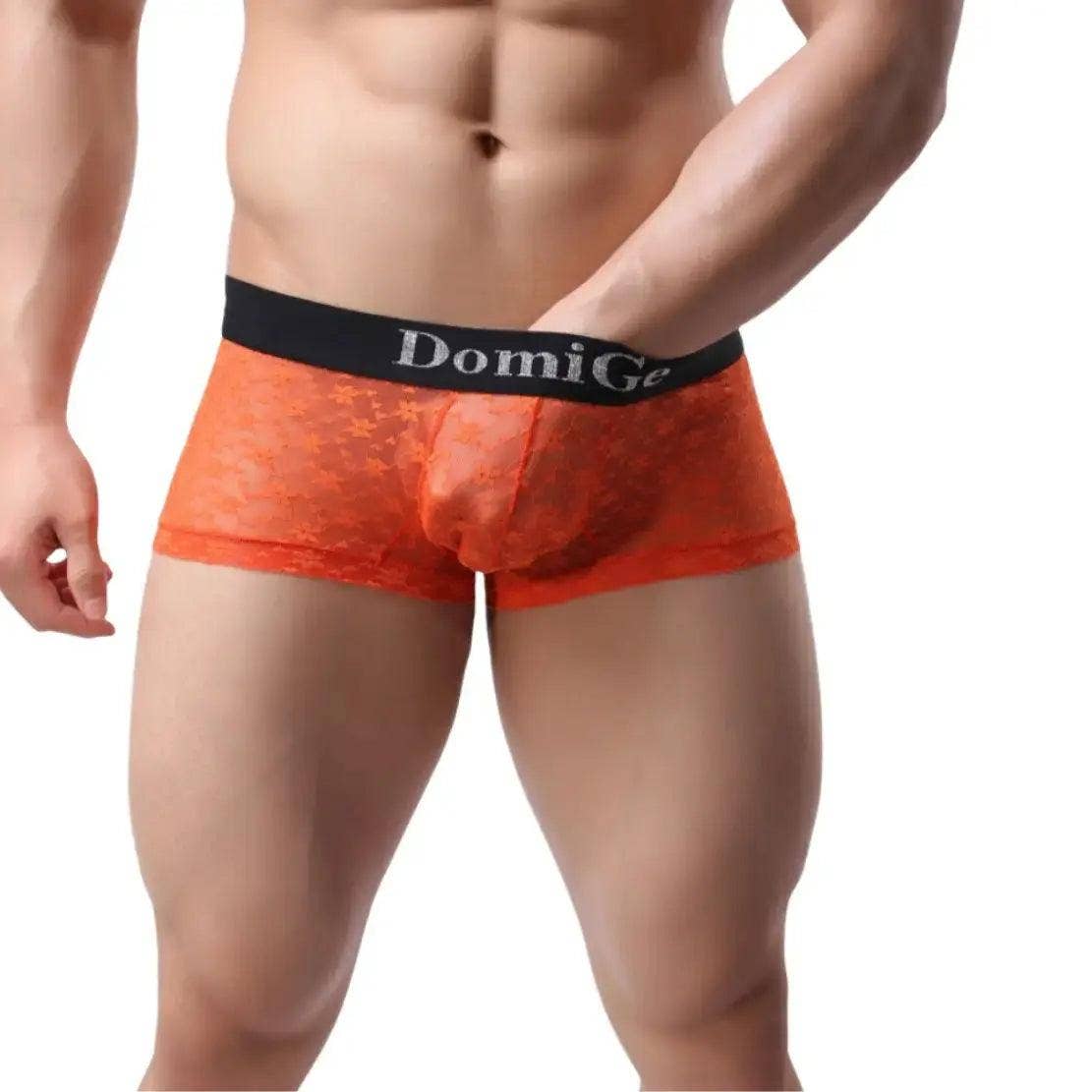 DomiGe – Großhandel Unterwäsche – Herren – Herrenhose aus transparentem Netzstoff mit stilvollem Logo-Bund — ultimativer Komfort und verführerische Herrenunterwäsche10