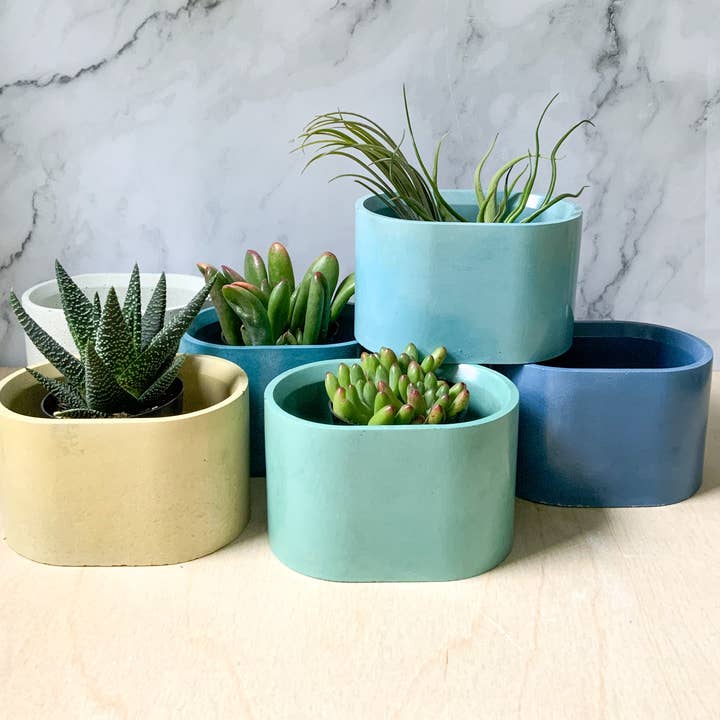 Left Corner Goods - Wholesale Plant Pot - Succulent Oval Concrete Planter5