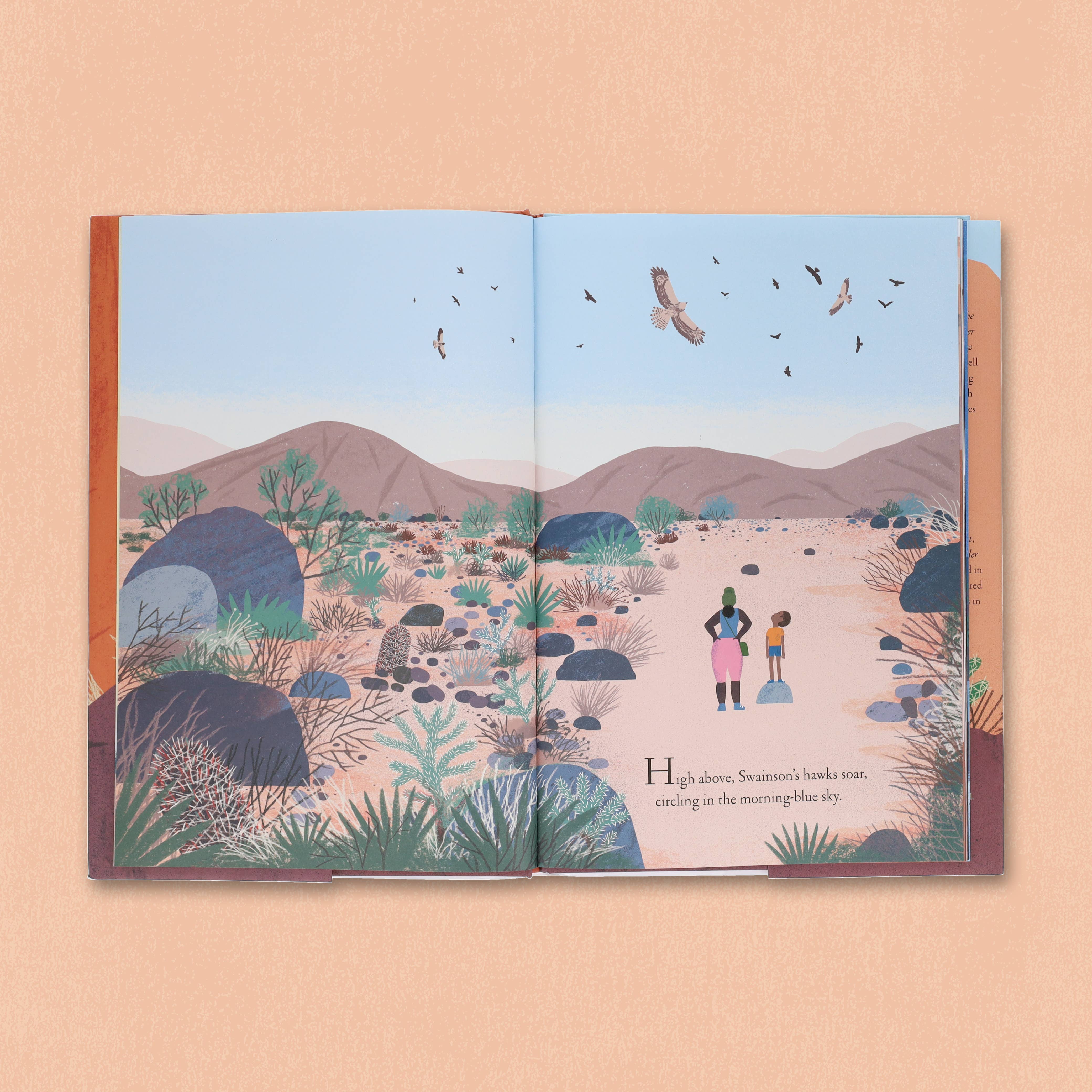 Chronicle Books - Wholesale Nature & Outdoors - Over and Under the Canyon14