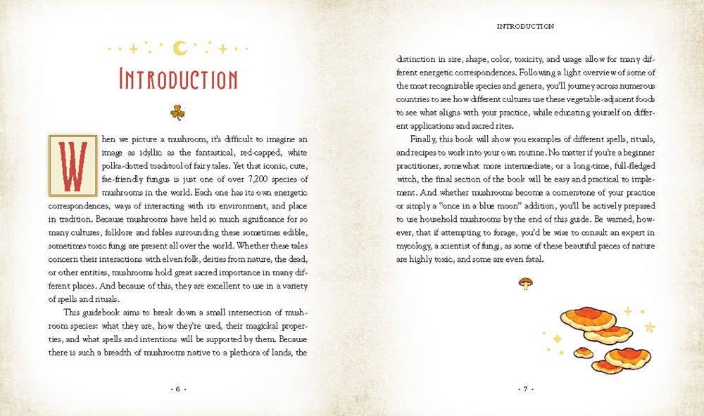 Hachette Book Group - Wholesale Nature & Outdoors - Mushroom Magick by Shawn Engel4