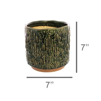 HomArt - Wholesale Plant Pot - Cactus Motif Cachepot, Ceramic - Lrg - Green1
