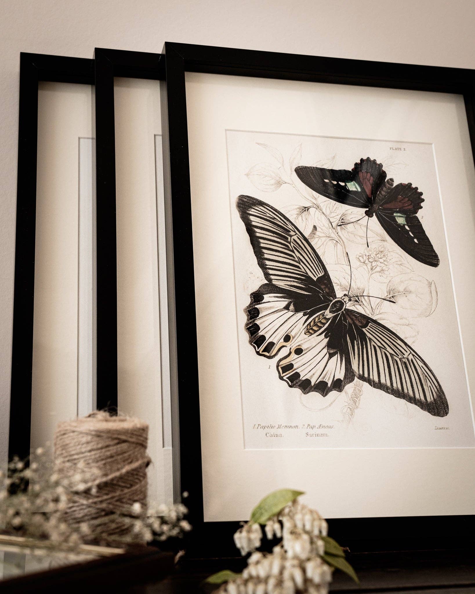 Coultura - Wholesale Gallery Wall Set - Framed Gallery Wall Set – Vintage Butterfly Botanical Art Prints (Set of 6, Black Noir Frame)1
