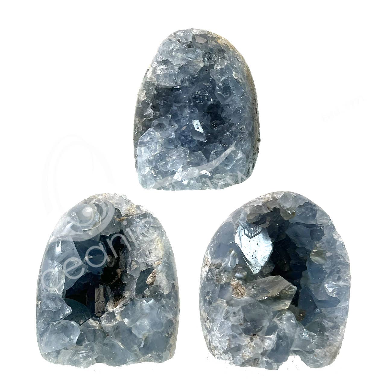 Oceanic Linkways Inc - Wholesale Spiritual Stone/Crystal - (KG)FREE SHAPE - CELESTITE WITH DRUSE 2-4"0