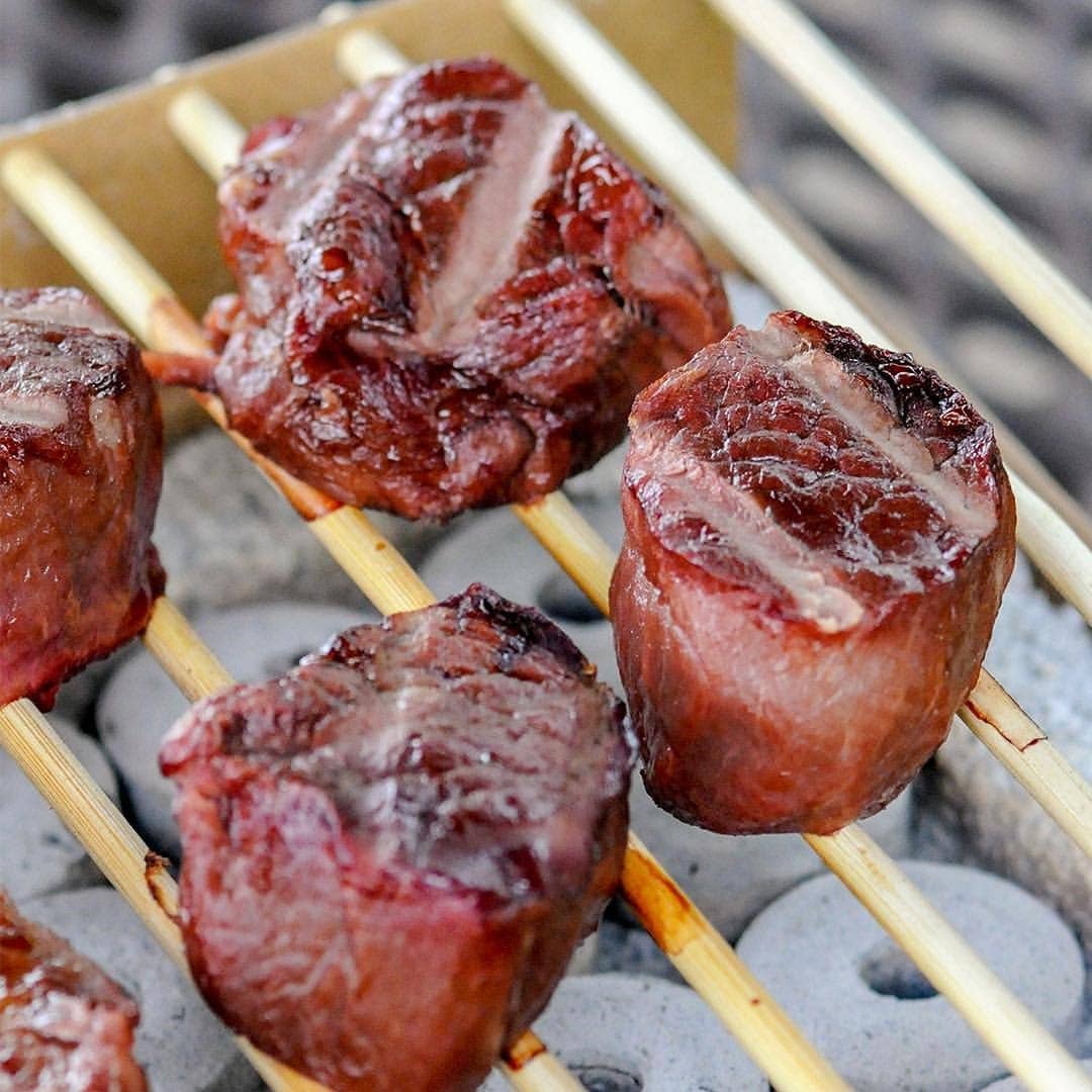 CasusGrill – Engroshandel Redskaber til udendørsgrill – CasusGrill – den bæredygtige og miljøvenlige engangsgrill6